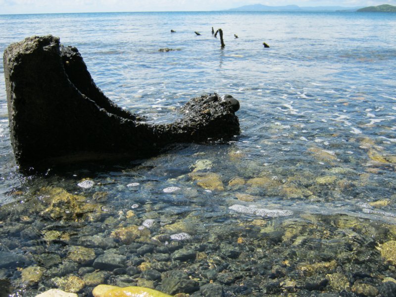 comodaserenidad10182010.jpg