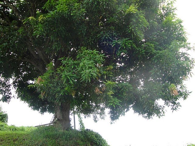 dsc01380.jpg