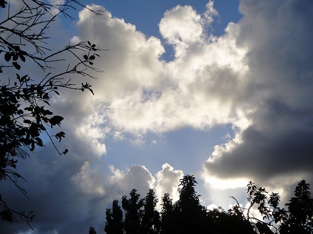 dsc01568.jpg