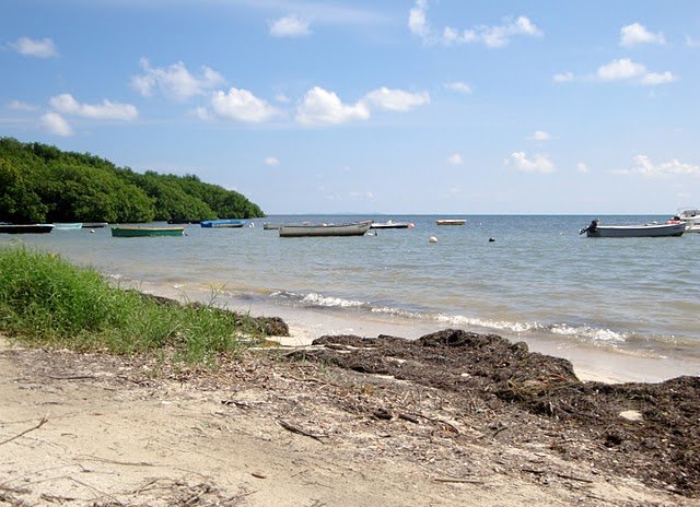 dsc01635.jpg