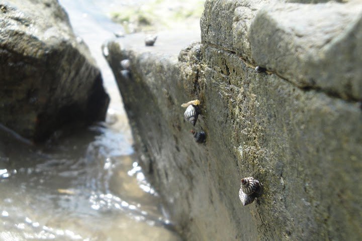 dsc01669.jpg