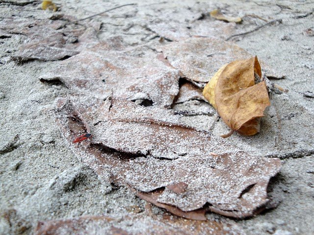 dsc01707.jpg