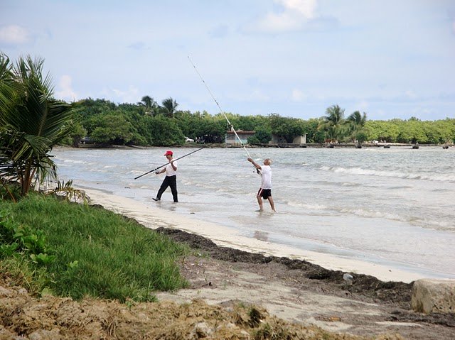 dsc01713.jpg