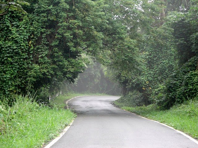 dsc01925.jpg