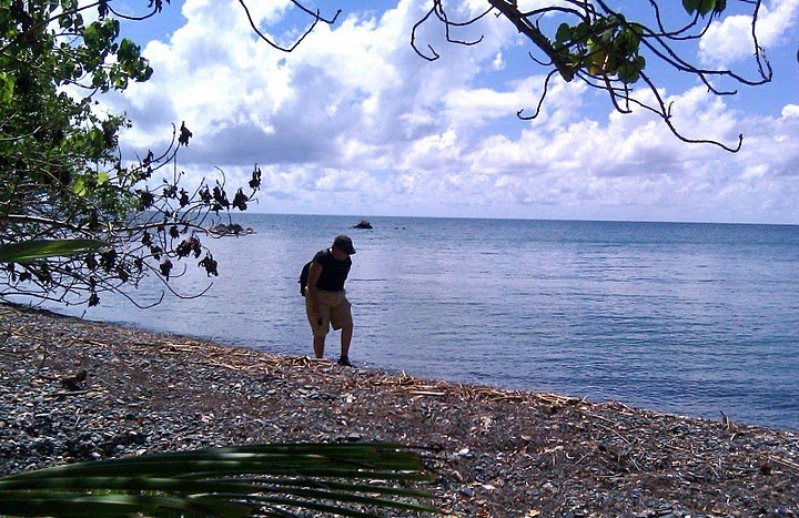 imag0040.jpg