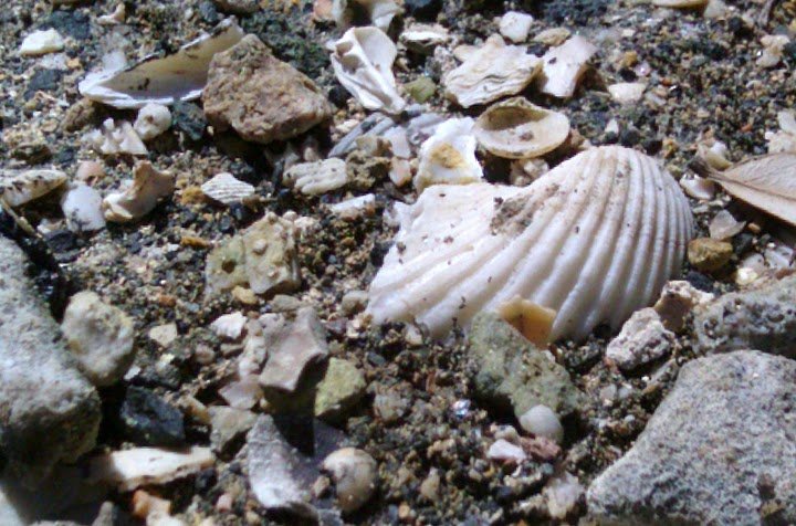 imag0048.jpg