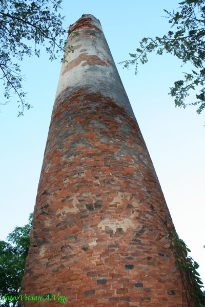 lachimenea.jpg