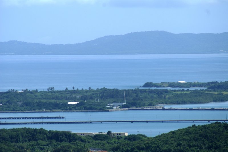 lamarina.jpg