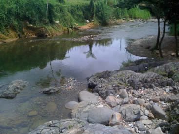 octubreconcursoceibaverde064.jpg