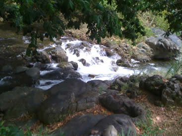octubreconcursoceibaverde068.jpg