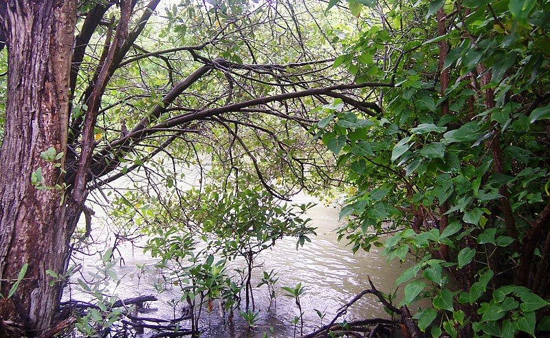 picture_059.jpg