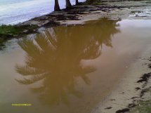 reflejo.jpg