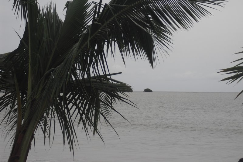 soledad.jpg