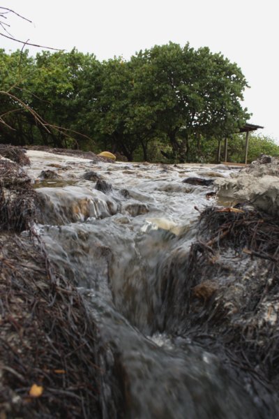 cascada.jpg