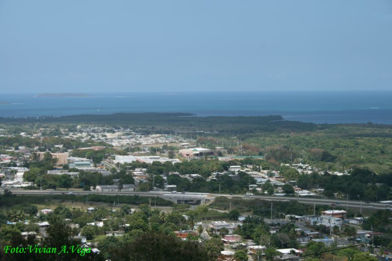 ce009.jpg