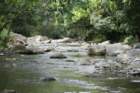 dsc00391_small.jpg