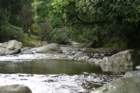 dsc00395_small.jpg