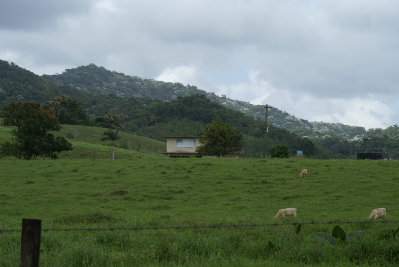 dsc00456.jpg