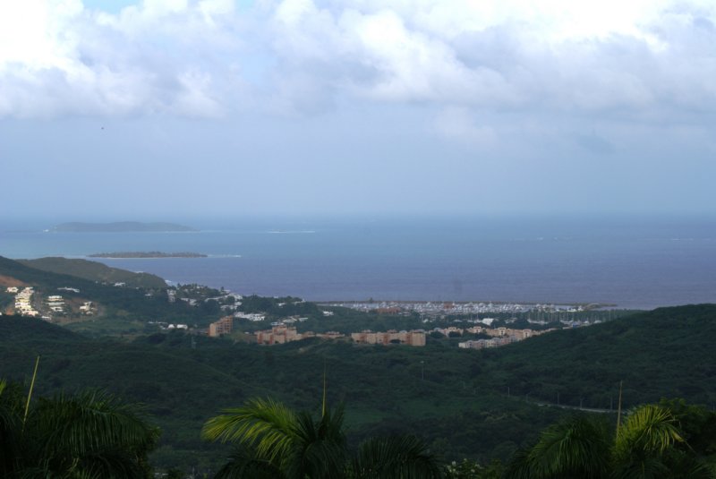 dsc00495.jpg