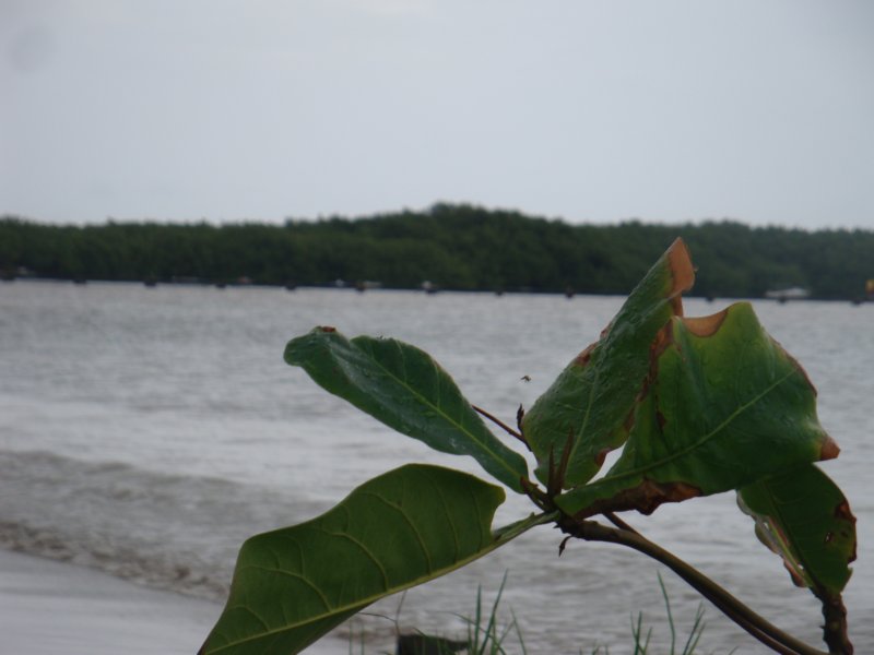 dsc02470.jpg