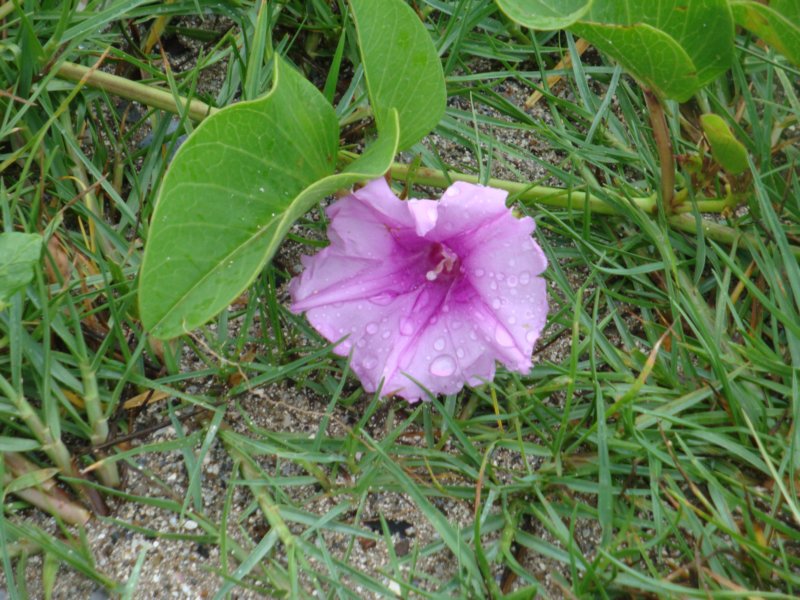 dsc02476.jpg