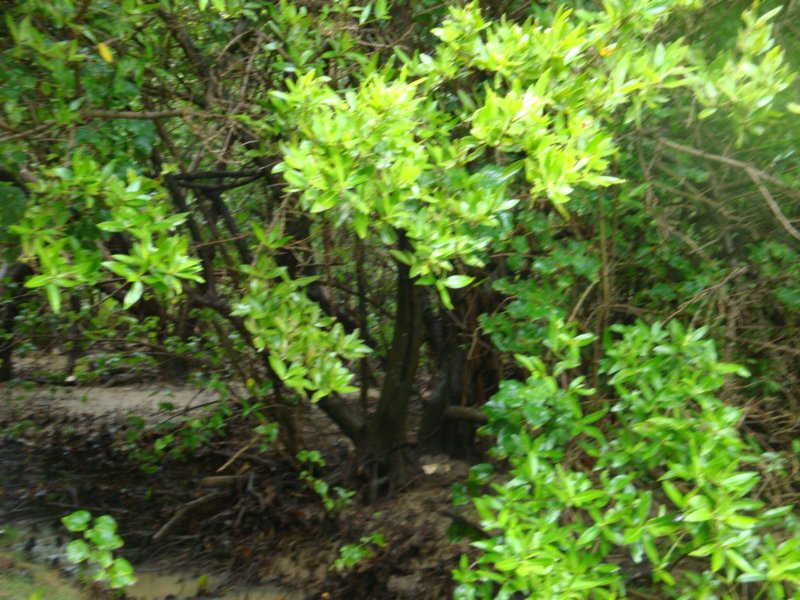 dsc02488.jpg