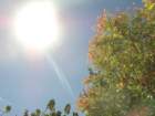 dsc02511_small.jpg