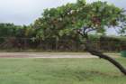 dsc06631_small.jpg