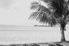 dsc06635_small.jpg