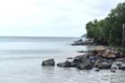dsc06655_small.jpg