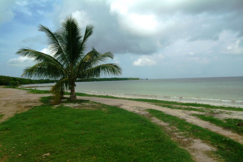 dscf0003.jpg
