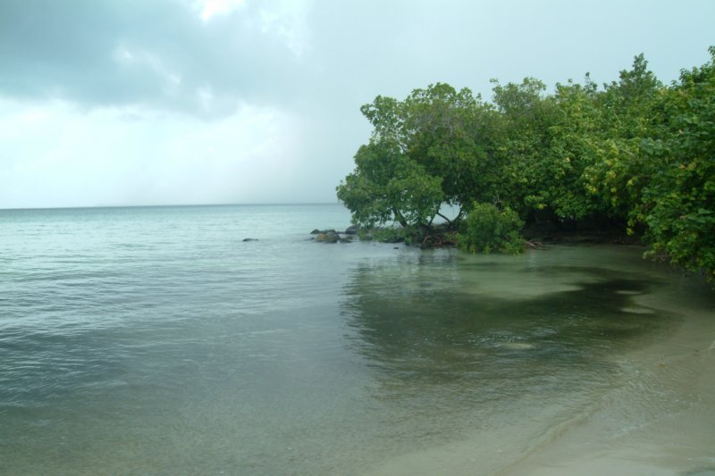 dscf0011.jpg