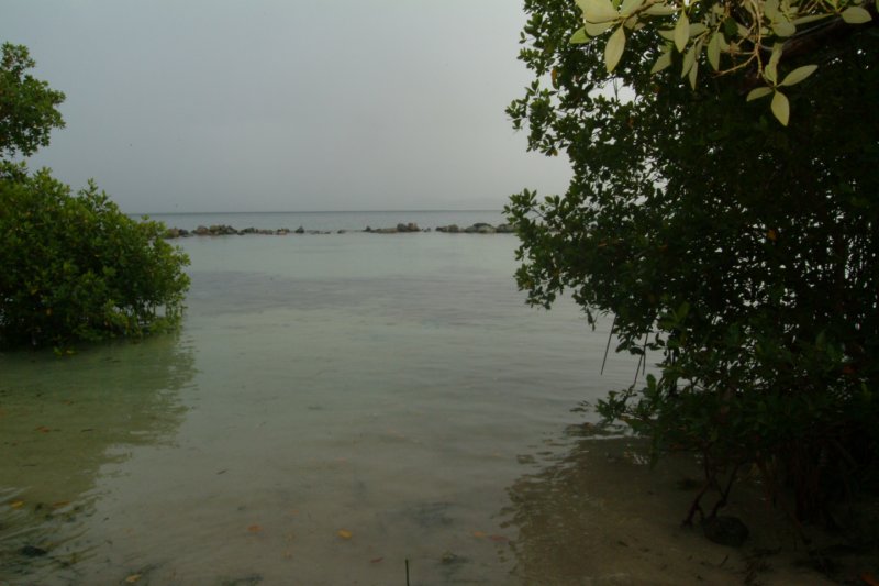 dscf0015.jpg